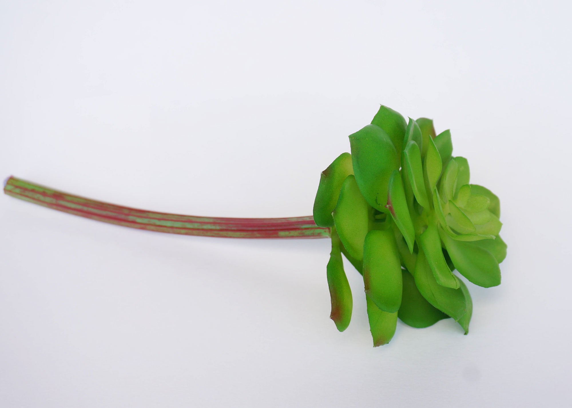 artificial succulent plants wholesale Artificial Echeveria Succulent in Green (4“ x 8") – Jenly Wholesale Inc