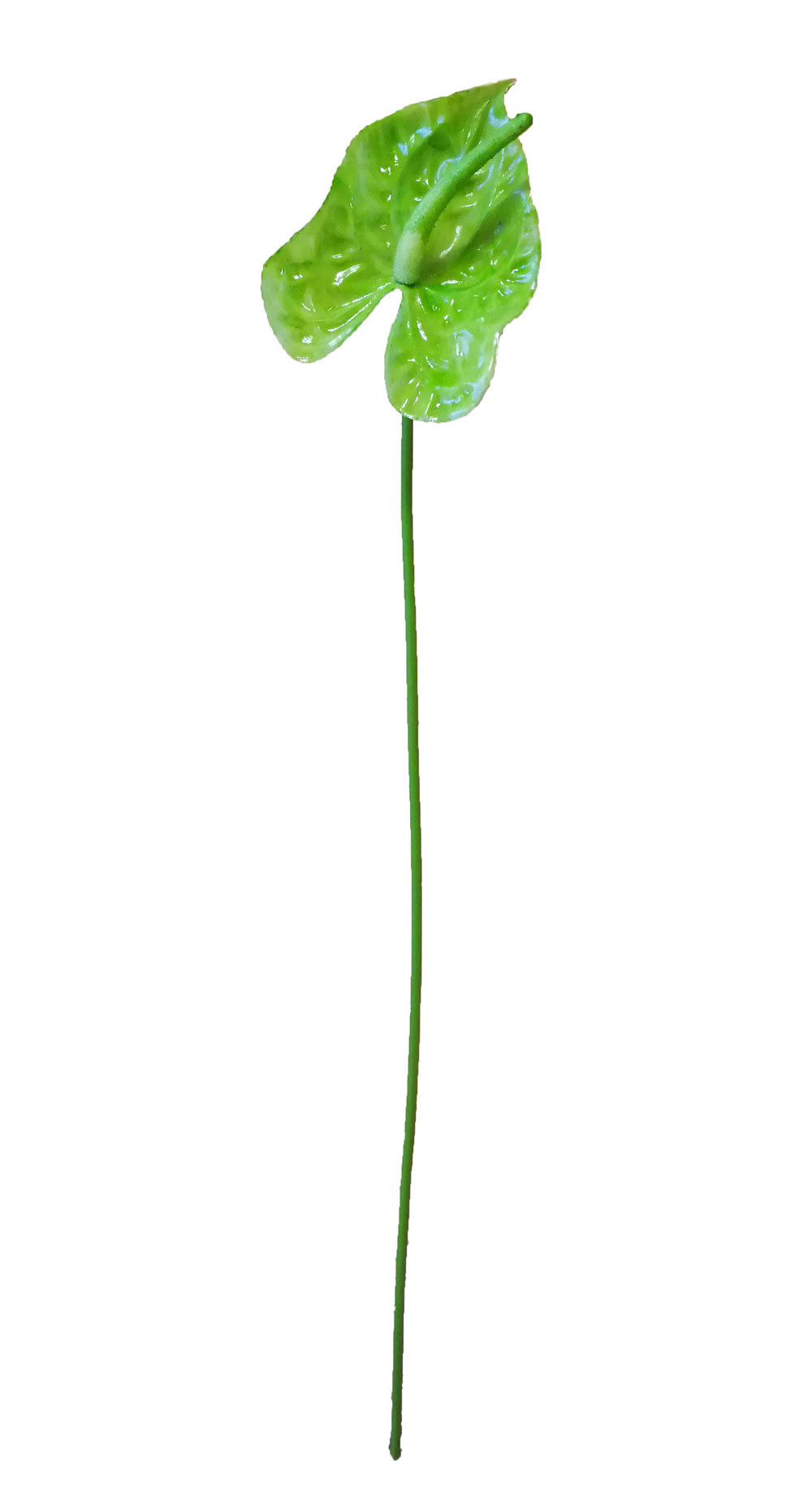 Jenlyfavors 20 Inch Green Single Stem Artificial Anthurium (12 Pieces)