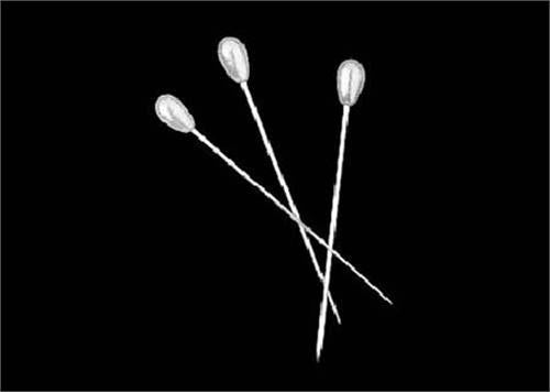 2" Pear Head Corsage Pins (144 Pieces)