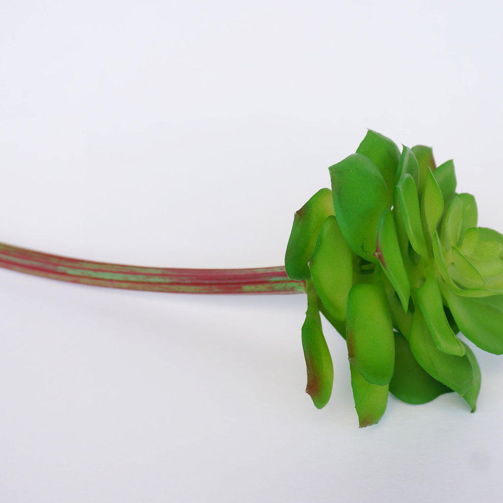 faux echeveria succulent Artificial Echeveria Succulent in Green -1 Piece (4 x 8 inch)