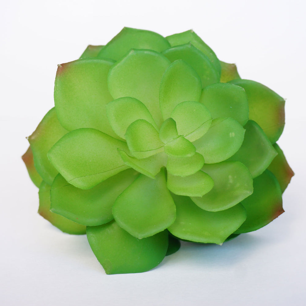 faux echeveria succulent Artificial Echeveria Succulent in Green -1 Piece (4 x 8 inch)