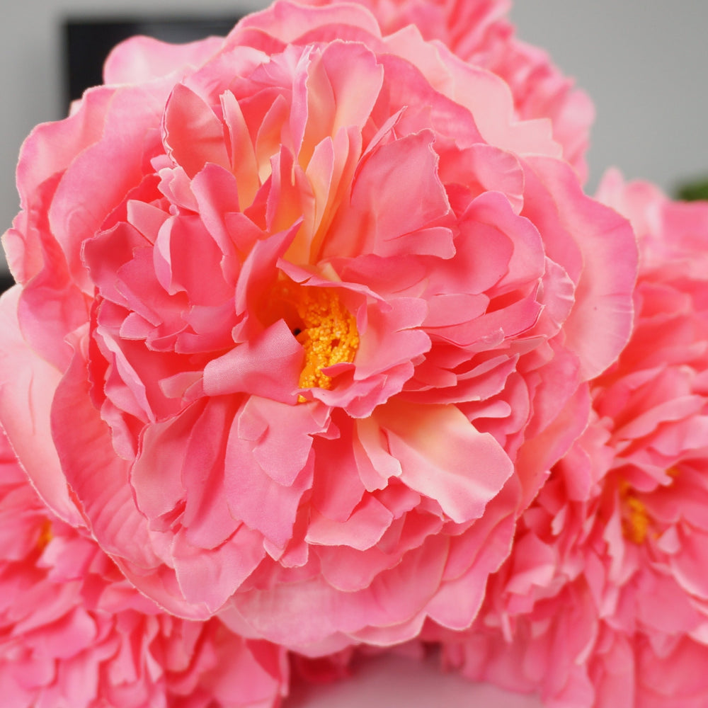 
                  
                    25 Inch Artificial Peony Silk Flower Bush 9 Heads Pink 4
                  
                